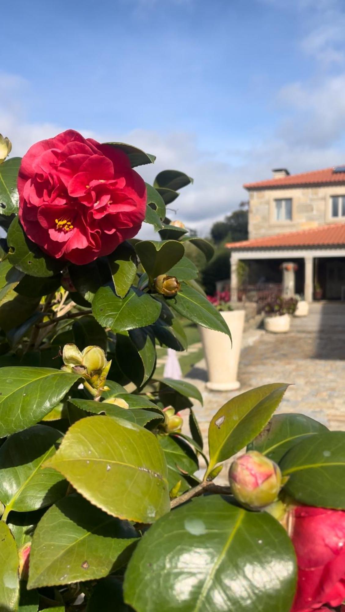 Quinta De Villasete Alpendurada Exterior photo