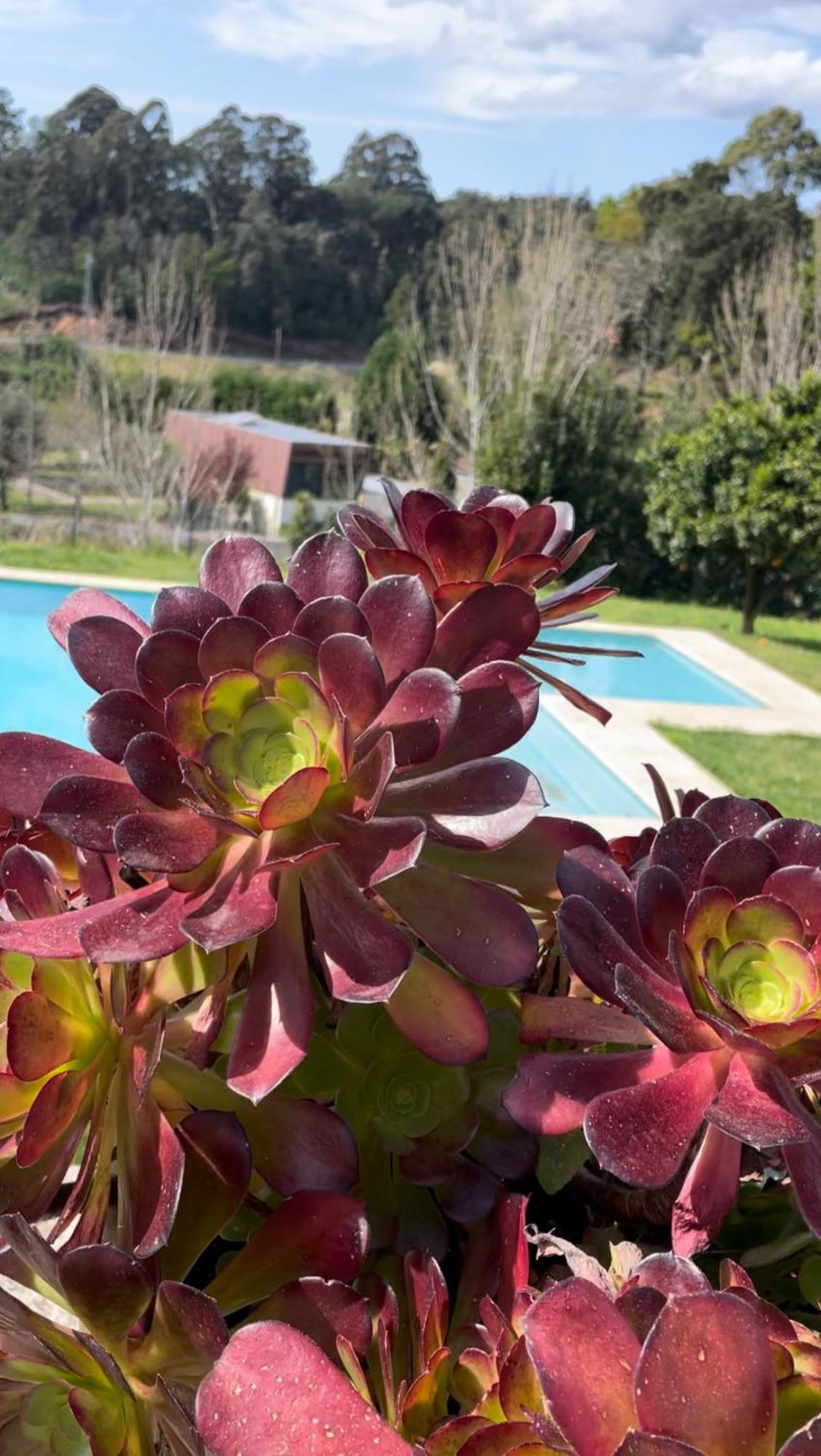 Quinta De Villasete Alpendurada Exterior photo