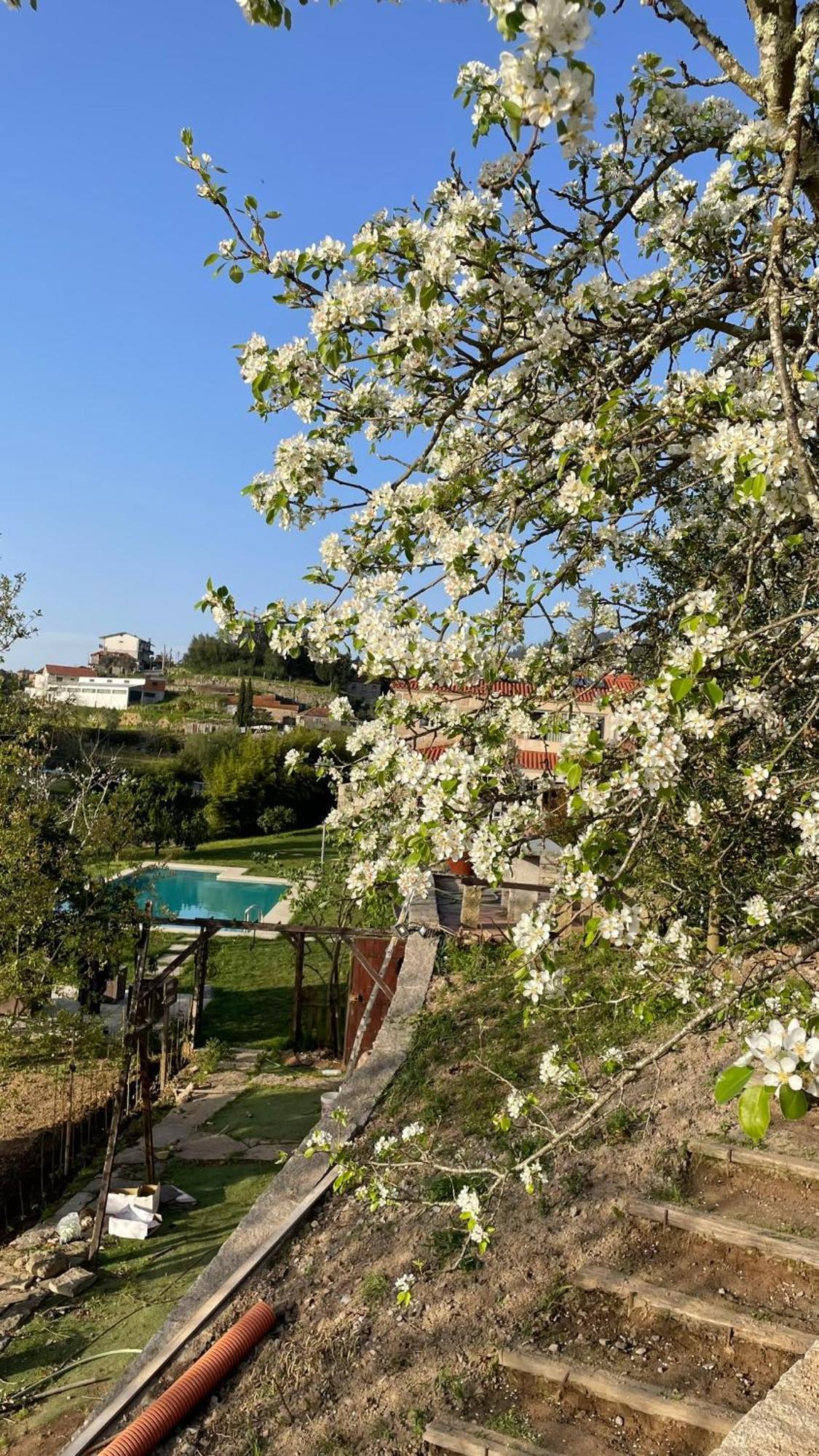 Quinta De Villasete Alpendurada Exterior photo