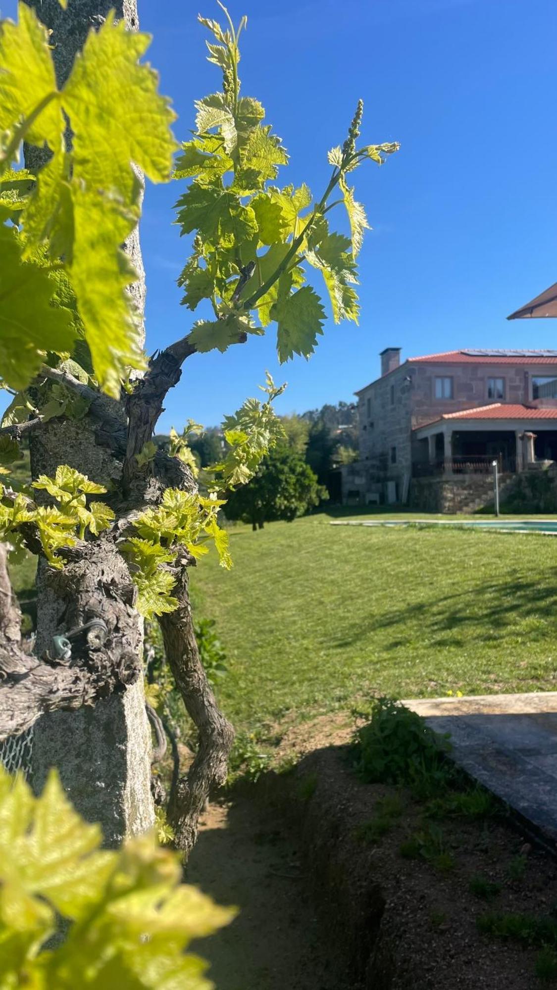 Quinta De Villasete Alpendurada Exterior photo