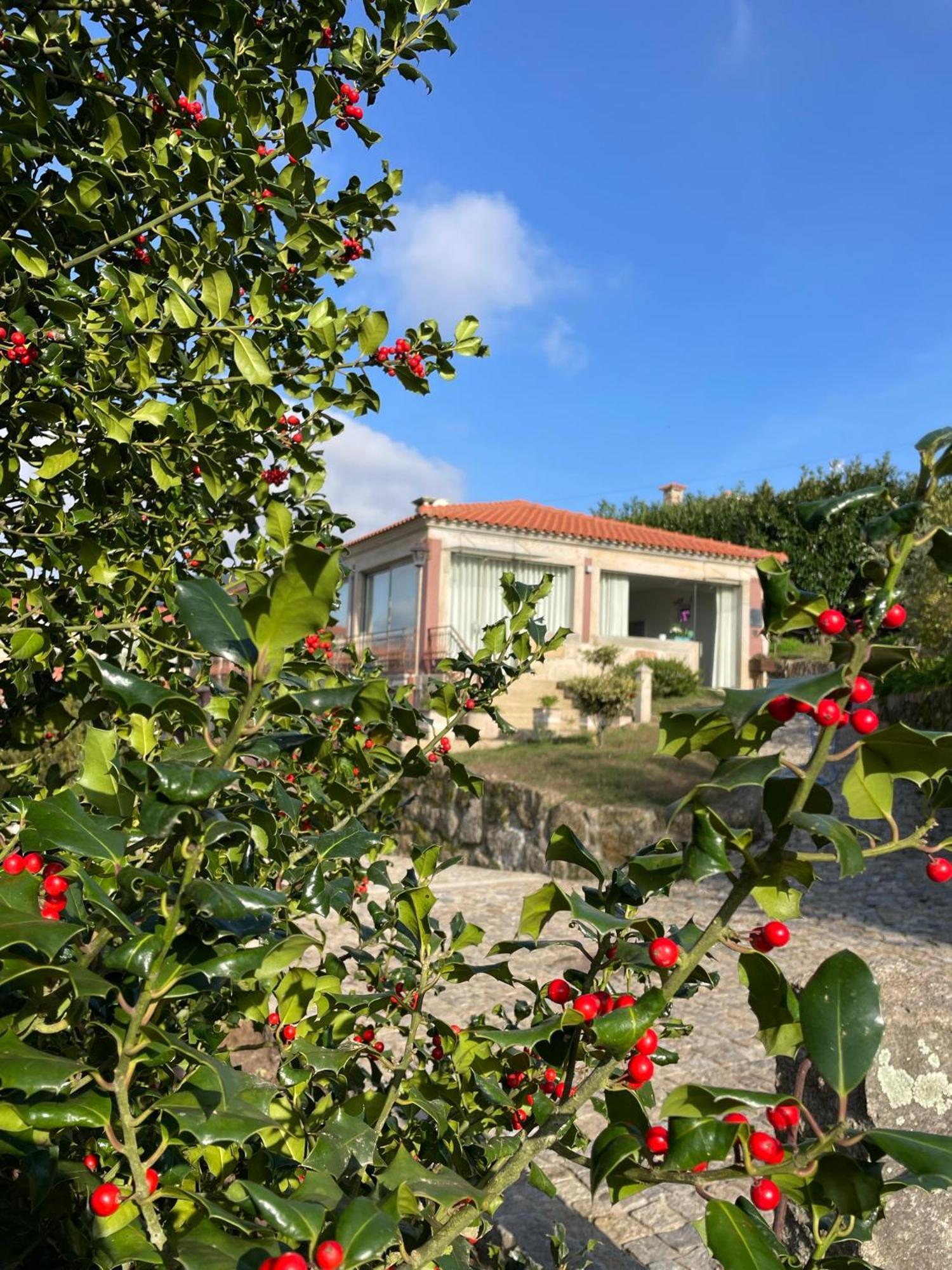 Quinta De Villasete Alpendurada Exterior photo