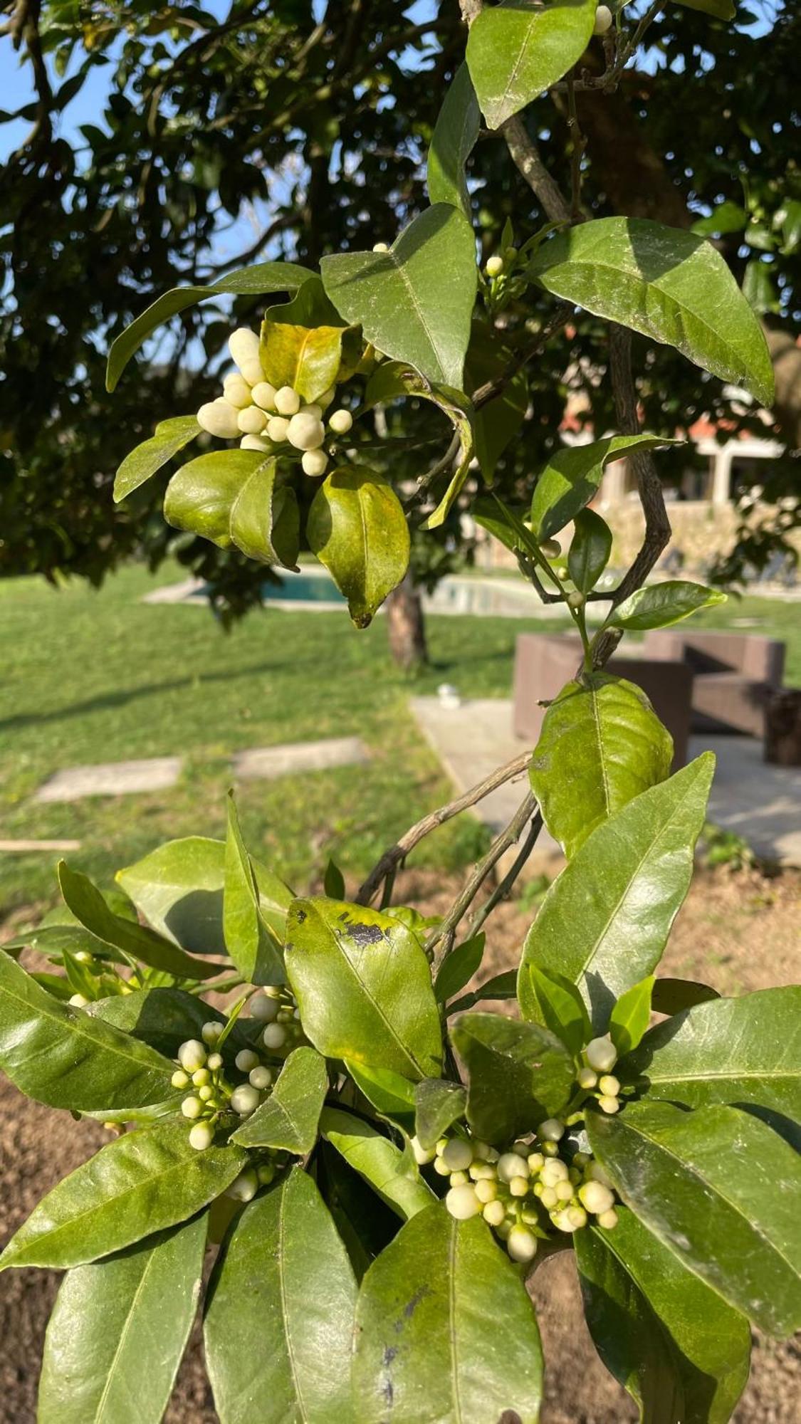 Quinta De Villasete Alpendurada Exterior photo